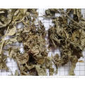 Artemisiae Argyi Folium de alta qualidade